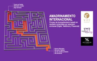 AMADRINAMIENTO INTERNACIONAL como alternativa para asegurar los resultados comerciales